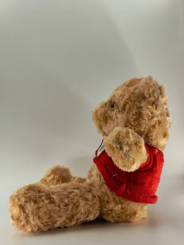 Soft_Plush_Teddy_Bear_With_Red_Sweater