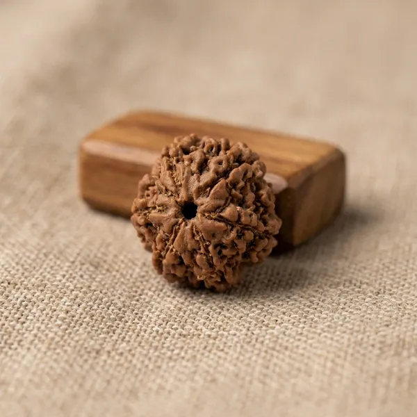6_Mukhi_Rudraksha_Seed_Bead_for_Spiritual_Practices