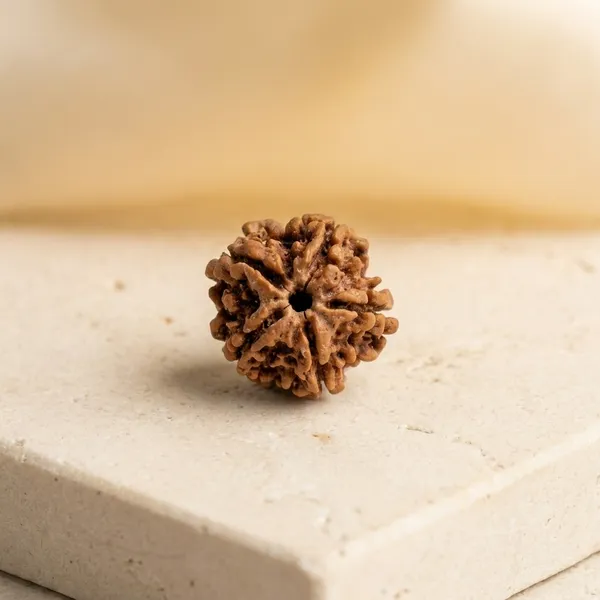 5_Mukhi_Natural_Rudraksha_Bead_for_Spiritual_and_Meditation_Practices