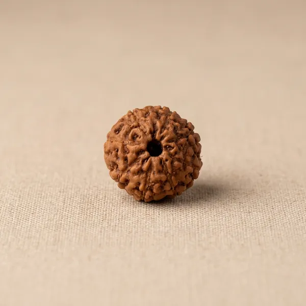 7_Mukhi_Brown_Rudraksha_Bead_for_Spiritual_Wear