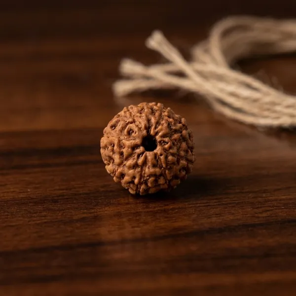 7_Mukhi_Brown_Rudraksha_Bead_for_Spiritual_Wear