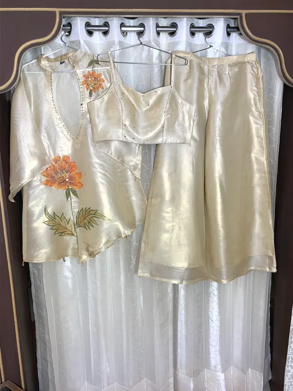 Tissue_Metallic_party_wear_with_Buster_