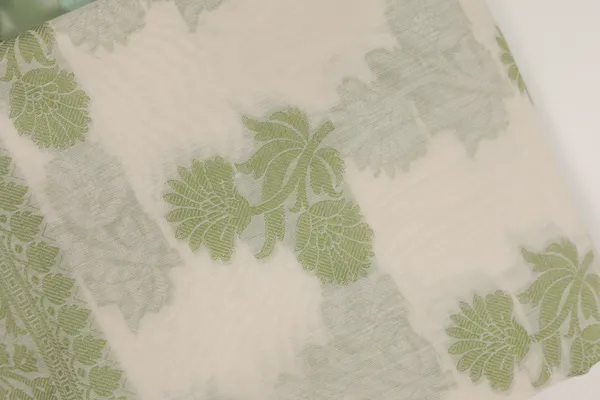 Green_Net_Organza_Floral_Embroidered_Decorative_Border_Saree_For_Women