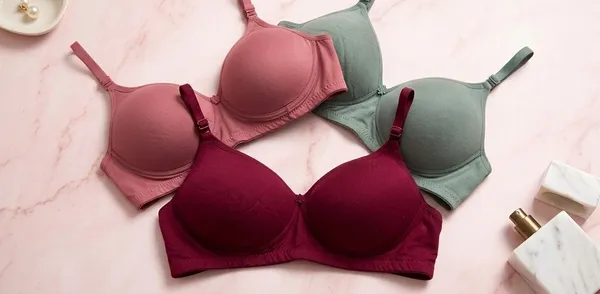 Pack_Of_3_Maroon_And_Grey_And_Mauve_Pink_Cotton_Blend_Lightly_Padded_Seamless_Full_Coverage_Bra_For_Women_|