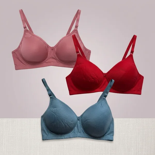 Pack_Of_3_Red_And_Mauve_Pink_And_Blue_Cotton_Blend_Lightly_Padded_Full_Coverage_T-Shirt_Bra_For_Women_|