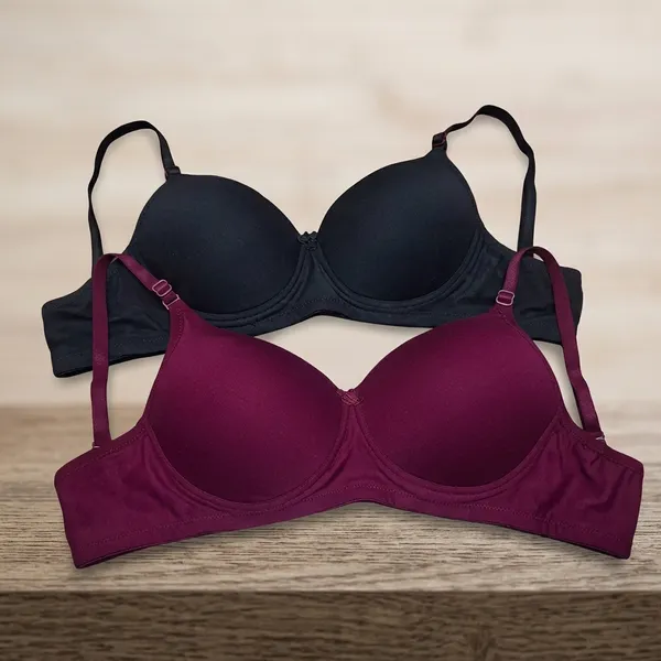 Pack_Of_2__Black_And_Maroon_Cotton_Blend_Lightly_Padded_Everyday_Hook_Bra_For_Women