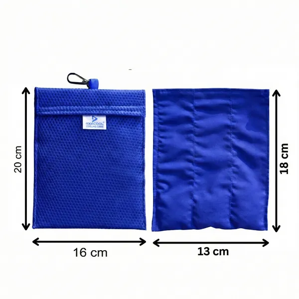 Axacool_Insulin_Cooler_Travel_Casec_Extra_Large_48_Hours,_Tsa_Approved_Best_Insulin_Cooling_Bag_For_Travel,_Insulin_Cooling_Pouch,_No_Ice_Packs,_Medicine_Travel_Pouch_Blue