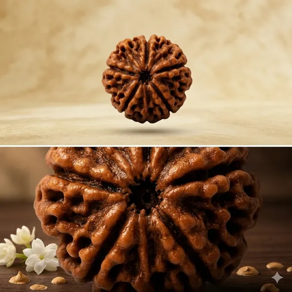 Oastro_Solution_5_Mukhi_Rudraksha_Pure_Ghee_Coated