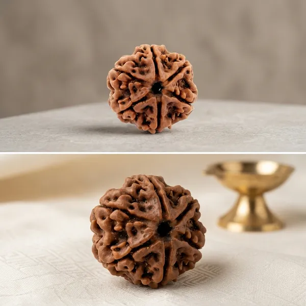 Oastro_Solution_6_Mukhi_Rudraksha_Herbal_Oil_Infused