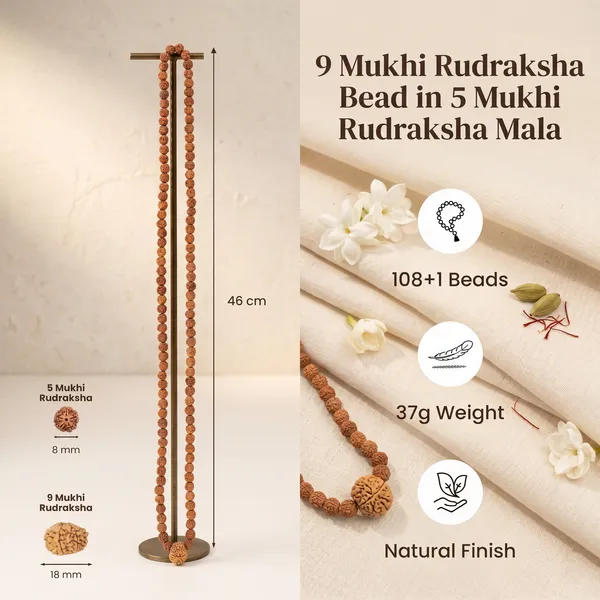 Timeless_9_Mukhi_Rudraksha_Bead_In_5_Mukhi_Rudraksha_Mala_|_Balance_&_Protection