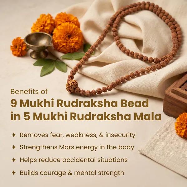Timeless_9_Mukhi_Rudraksha_Bead_In_5_Mukhi_Rudraksha_Mala_|_Balance_&_Protection