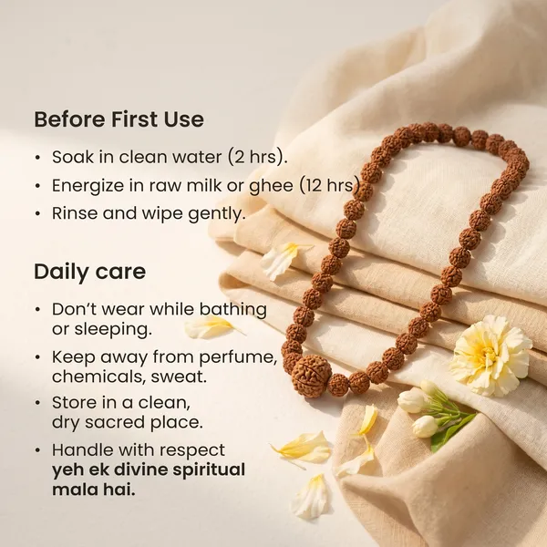 Timeless_9_Mukhi_Rudraksha_Bead_In_5_Mukhi_Rudraksha_Mala_|_Balance_&_Protection