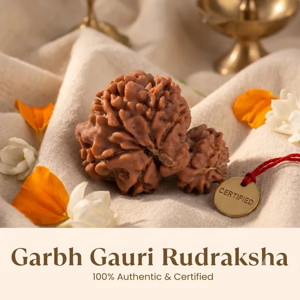 Exquisite_Nepal_Origin_Garbh_Gauri_Rudraksha_17Mm_22Mm_With_Silver_Capping_|_Balance_&_Protection