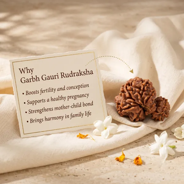 Exquisite_Nepal_Origin_Garbh_Gauri_Rudraksha_17Mm_22Mm_With_Silver_Capping_|_Balance_&_Protection