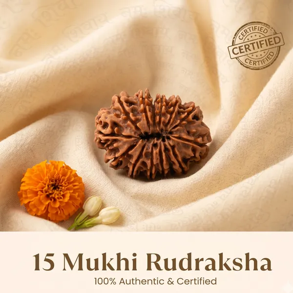 Sacred_Nepal_Origin_15_Mukhi_Rudraksha_17Mm_To_22Mm_|_Balance_&_Protection