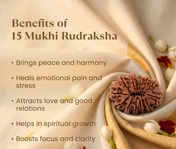 Sacred_Nepal_Origin_15_Mukhi_Rudraksha_17Mm_To_22Mm_|_Balance_&_Protection