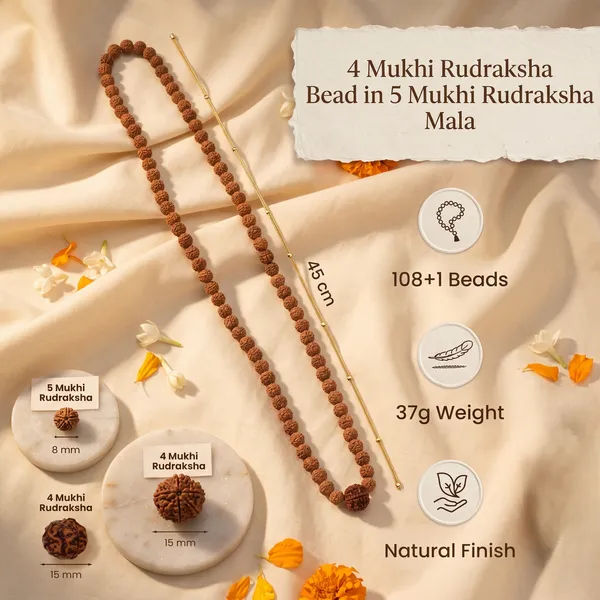 Elegant_4_Mukhi_Rudraksha_Bead_In_5_Mukhi_Rudraksha_Mala_|_Balance_&_Protection
