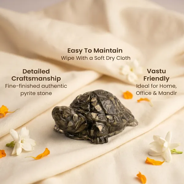 Minimalist_Collector_S_Edition_Pyrite_Tortoise_Kachhua_Big_Size_8X_Heavier_|_Wealth_&_Success