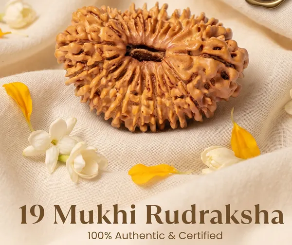 Timeless_Nepal_Origin_19_Mukhi_Rudraksha_17Mm_To_22Mm_|_Balance_&_Protection