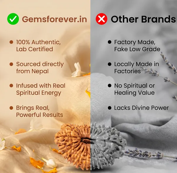 Timeless_Nepal_Origin_19_Mukhi_Rudraksha_17Mm_To_22Mm_|_Balance_&_Protection