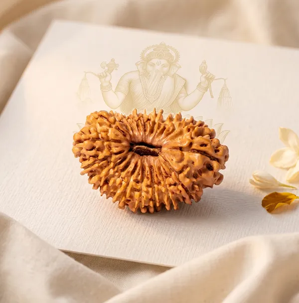 Timeless_Nepal_Origin_19_Mukhi_Rudraksha_17Mm_To_22Mm_|_Balance_&_Protection