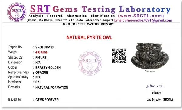 Timeless_Pyrite_Owl_|_Wealth_&_Success
