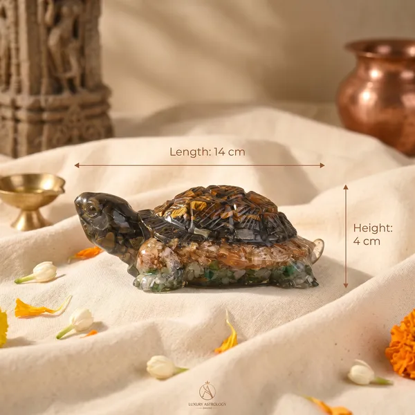 Authentic_Collector_S_Edition_Vastu_Dhan_Yog_Tortoise_Big_Size_|_Wealth_&_Success