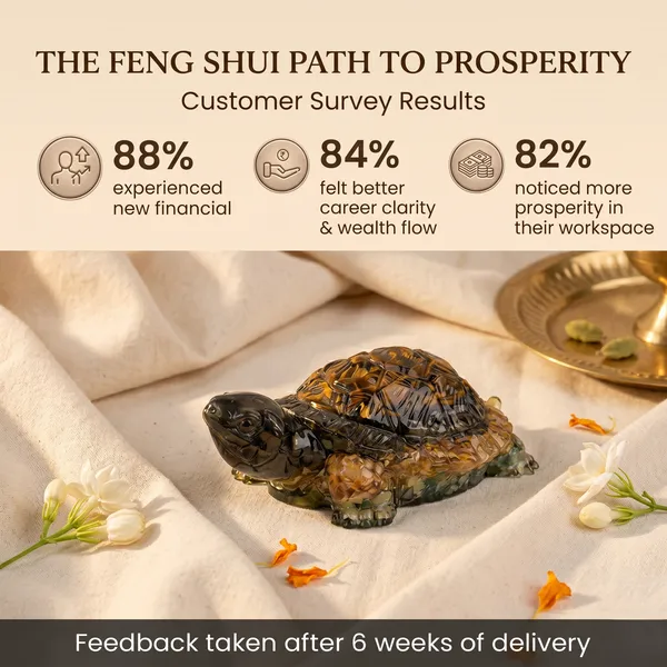 Authentic_Collector_S_Edition_Vastu_Dhan_Yog_Tortoise_Big_Size_|_Wealth_&_Success