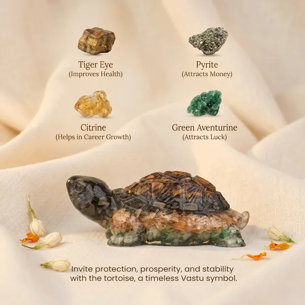 Authentic_Collector_S_Edition_Vastu_Dhan_Yog_Tortoise_Big_Size_|_Wealth_&_Success