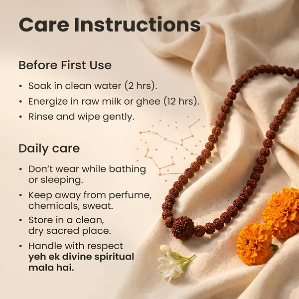 Divine_12_Mukhi_Rudraksha_Bead_In_5_Mukhi_Rudraksha_Mala_|_Balance_&_Protection