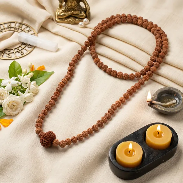 Divine_12_Mukhi_Rudraksha_Bead_In_5_Mukhi_Rudraksha_Mala_|_Balance_&_Protection