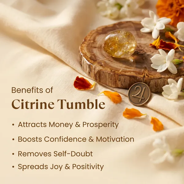 Authentic_Dhan_Yog_Tumble_Combo_|_Wealth_&_Success_(Pack_Of_2_)