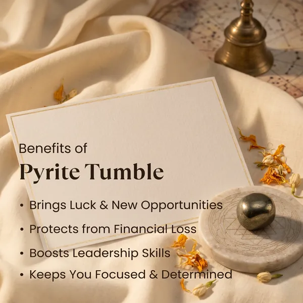 Authentic_Dhan_Yog_Tumble_Combo_|_Wealth_&_Success_(Pack_Of_2_)
