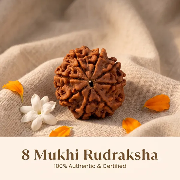 Authentic_Nepal_Origin_8_Mukhi_Rudraksha_17Mm_To_22Mm_Without_Silver_Capping_|_Balance_&_Protection