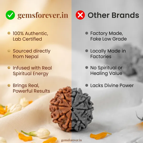 Authentic_Nepal_Origin_8_Mukhi_Rudraksha_17Mm_To_22Mm_Without_Silver_Capping_|_Balance_&_Protection