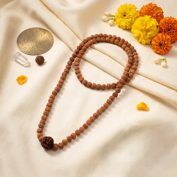 Sacred_6_Mukhi_Rudraksha_Bead_In_5_Mukhi_Rudraksha_Mala_|_Balance_&_Protection