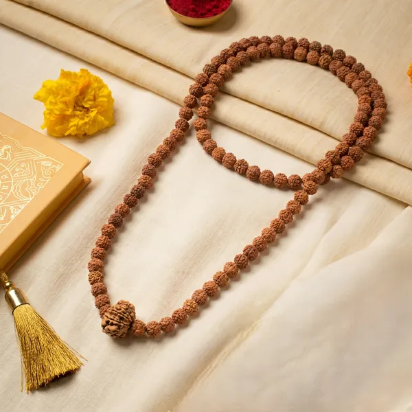 13_Mukhi_Rudraksha_Bead_In_5_Mukhi_Rudraksha_Mala_Default_Title