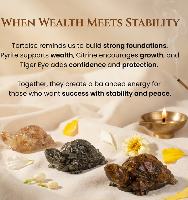 Powerful_Maha_Dhan_Yog_Tortoise_Combo_|_Wealth_&_Success_(Pack_Of_3_)