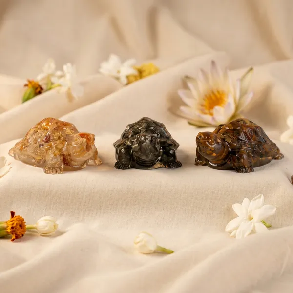 Powerful_Maha_Dhan_Yog_Tortoise_Combo_|_Wealth_&_Success_(Pack_Of_3_)