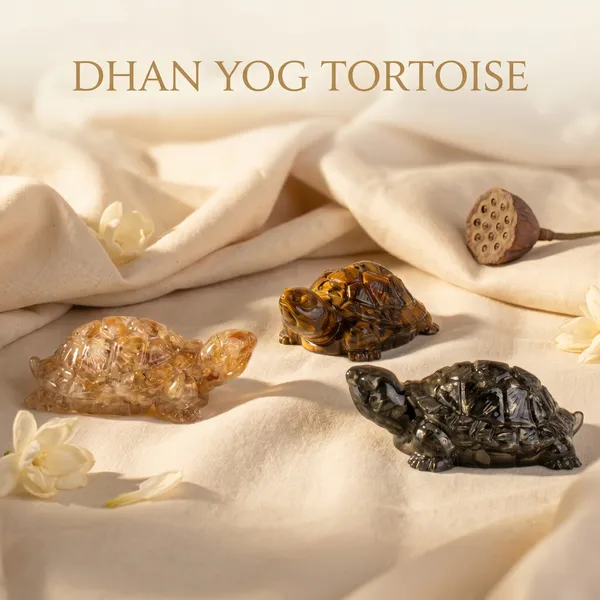Powerful_Maha_Dhan_Yog_Tortoise_Combo_|_Wealth_&_Success_(Pack_Of_3_)