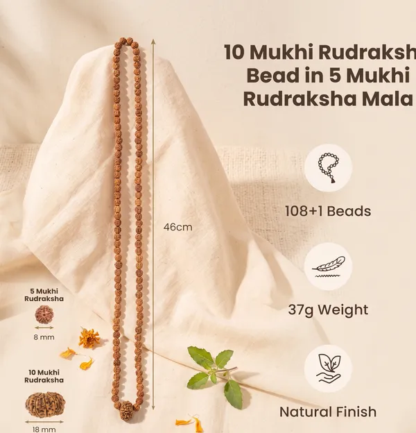 Minimalist_5_Mukhi_&_10_Mukhi_Nepali_Rudraksha_Mala_Online_|_Gemsforever_|_Healing_&_Clarity