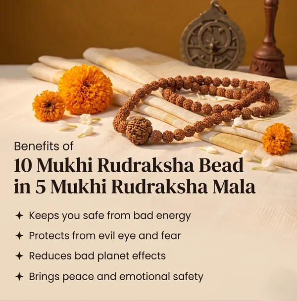 Minimalist_5_Mukhi_&_10_Mukhi_Nepali_Rudraksha_Mala_Online_|_Gemsforever_|_Healing_&_Clarity