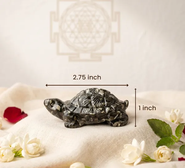 Handcrafted_Vastu_Pyrite_Tortoise_Kachhua_Pack_Of_2_|_Wealth_&_Success