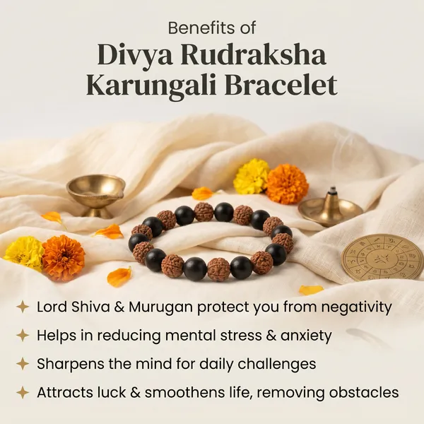 Divine_Divya_Rudraksha_Karungali_Bracelet_8Mm_|_Balance_&_Protection