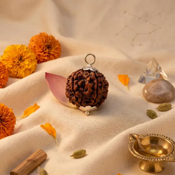 Minimalist_5_Mukhi_Rudraksha_Combo_|_Balance_&_Protection