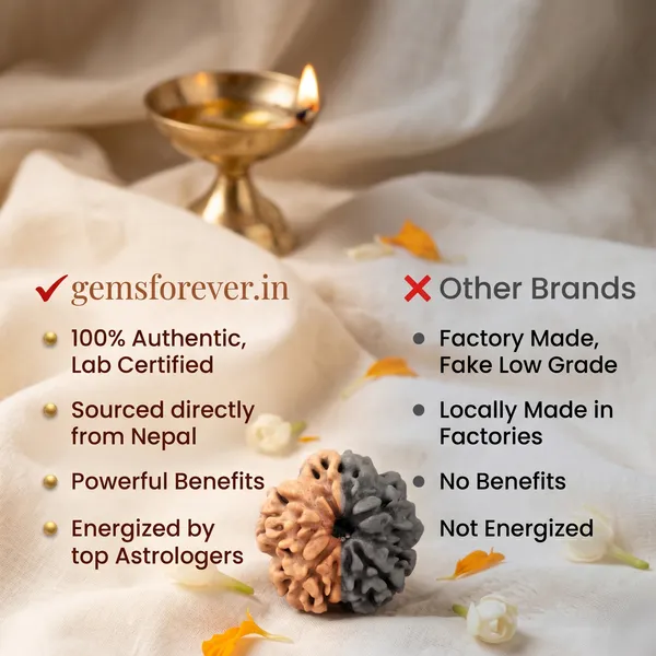 Minimalist_5_Mukhi_Rudraksha_Combo_|_Balance_&_Protection