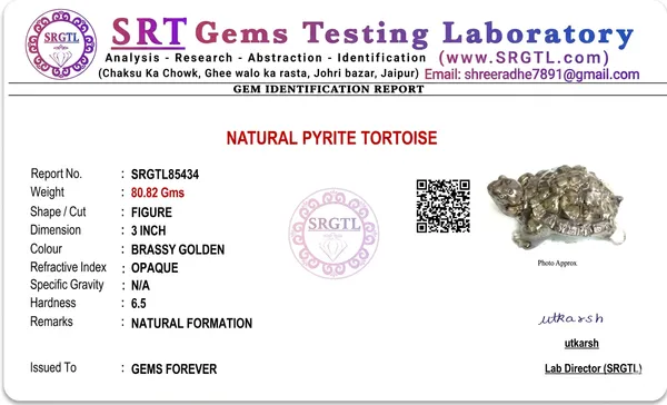Exquisite_Vastu_Pyrite_Tortoise_Kachhua_Pack_Of_1_|_Wealth_&_Success