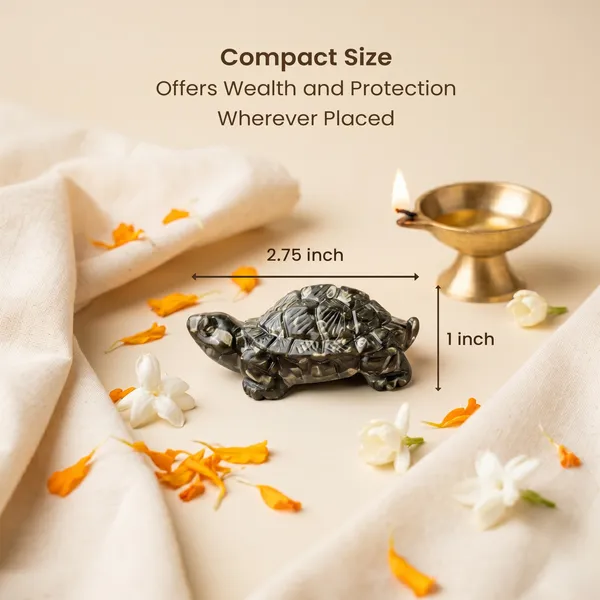 Exquisite_Vastu_Pyrite_Tortoise_Kachhua_Pack_Of_1_|_Wealth_&_Success