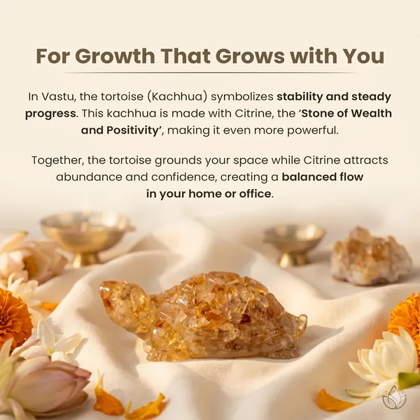 Powerful_Vastu_Citrine_Tortoise_Kachhua_|_Balance_&_Protection
