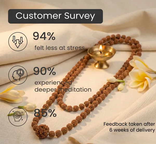 Classic_11_Mukhi_Rudraksha_Bead_In_5_Mukhi_Rudraksha_Mala_|_Balance_&_Protection